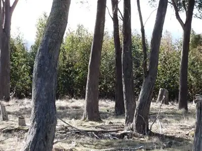 Fourth view of Homely rural property listing, Williams Road, Royal George TAS 7213