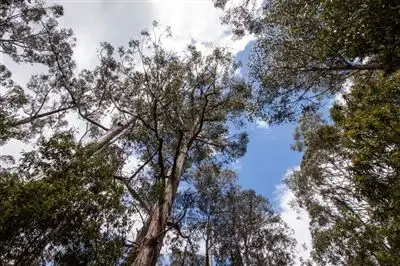 Sixth view of Homely land listing, - Constance Road, Cygnet TAS 7112