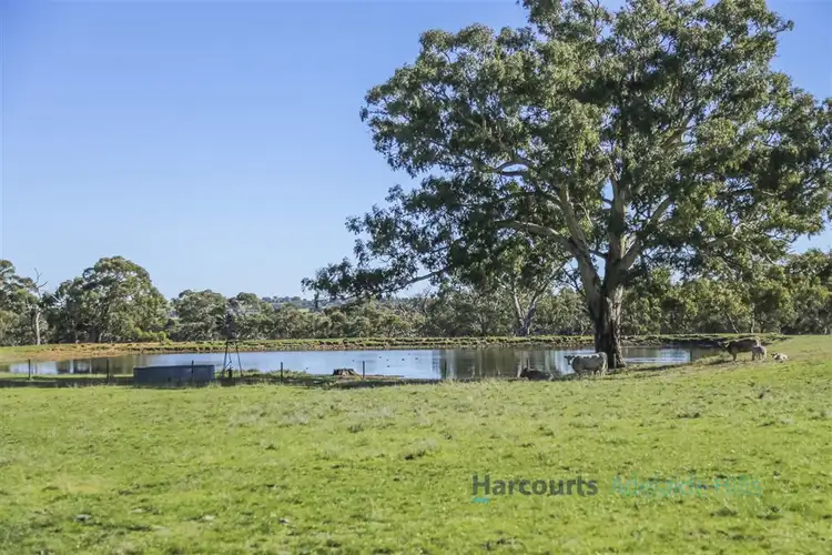 Second view of Homely rural property listing, 355 Black Snake Road, Cromer via, Birdwood SA 5234
