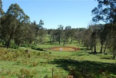 Fifth view of Homely rural property listing, 215 Merlin Downs Road, Niangala NSW 2354