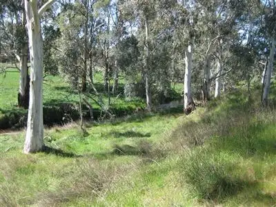 Sixth view of Homely rural property listing, Lots 1 & 2 46 Creeds Road, Murrindindi VIC 3717