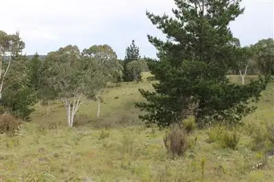 Main view of Homely rural property listing, Lot 54 Charleys Forest Road, Braidwood NSW 2622