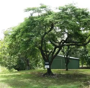 Main view of Homely land listing, 4 Tyree Road, Mount Julian QLD 4800