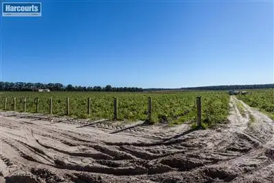 Fourth view of Homely land listing, 247 Carabooda Road, Carabooda WA 6033