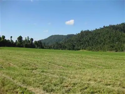 Seventh view of Homely rural property listing, Address available on request