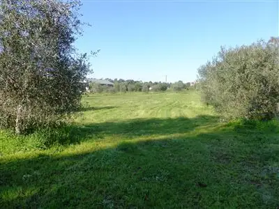 401 Auburn Road, Auburn SA 5451