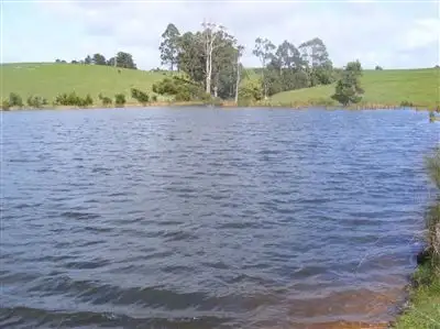 Fifth view of Homely rural property listing, 957 Mount Hicks Road, Mount Hicks TAS 7325