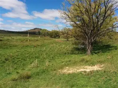 Fourth view of Homely rural property listing, 590 Athol Road, 'East Lynne', Uralla NSW 2358