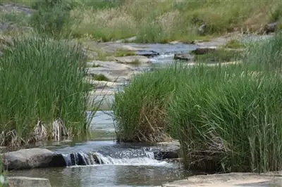 Sixth view of Homely rural property listing, Wongoonoo 100 Carabost Road, via, Wagga Wagga NSW 2650