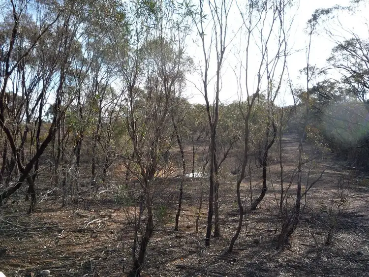Seventh view of Homely rural property listing, Lot 36 Kaye Road, St Arnaud VIC 3478