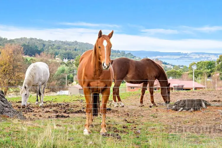 Fourth view of Homely house listing, 169 Watsons Road, Kettering TAS 7155