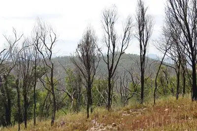 Fifth view of Homely rural property listing, Lot 9 Rookledges Road, Mirranatwa VIC 3294