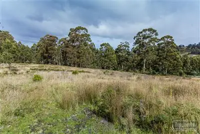 Main view of Homely land listing, RA Morrisons Road, Huonville TAS 7109
