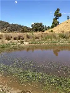 Fourth view of Homely rural property listing, 451 Stoney Creek Road, Fawcett VIC 3714