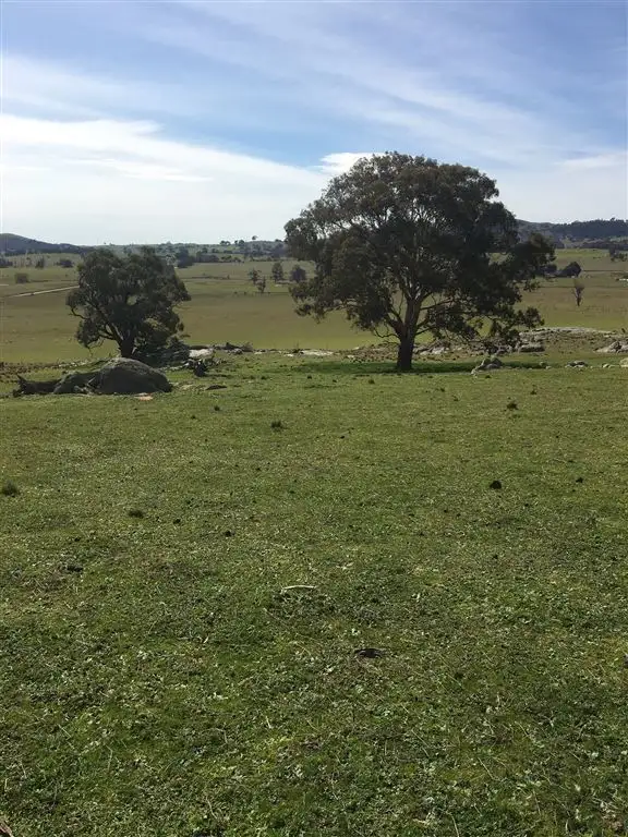 Second view of Homely rural property listing, Lot 85 Berrabangalo Creek Road, Gunning NSW 2581