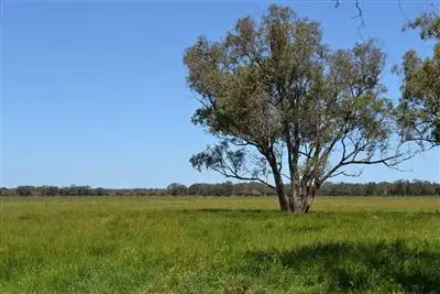 Second view of Homely rural property listing, Lot 2373 Bambun Road, Gingin WA 6503