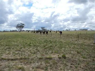 Sixth view of Homely rural property listing, GRANTHAM URALLA-ENMORE ROAD, Uralla NSW 2358