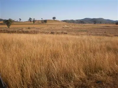 Seventh view of Homely rural property listing, * Coondarra, Upper Horton NSW 2347