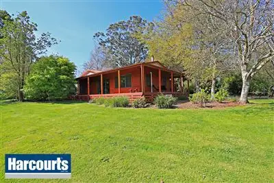 Second view of Homely rural property listing, 85 Paynter Road, Neerim Junction VIC 3832