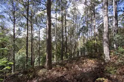 Third view of Homely land listing, Lot 2 Bakers Creek Trail, Lucaston TAS 7109