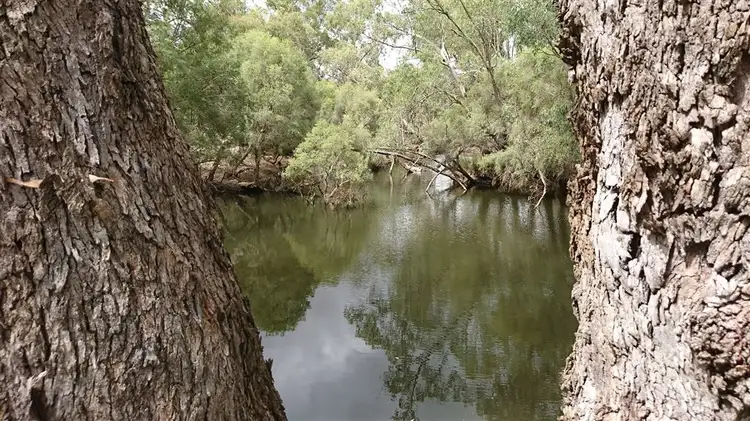 433 Hunter Road Orange Springs, Gingin WA 6503