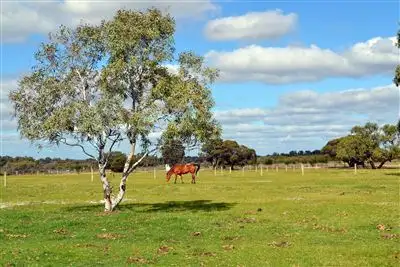 Third view of Homely house listing, 1046 Gingin Brook Rd, Gingin WA 6503