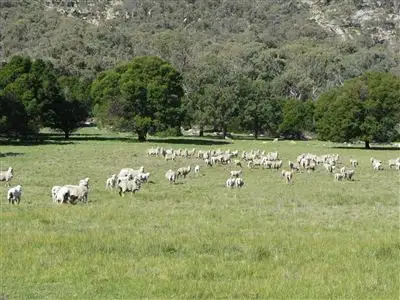 Seventh view of Homely rural property listing, 403 Forlonge Road, Euroa VIC 3666
