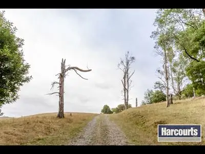 Second view of Homely rural property listing, 15 Hogan Lane, Trafalgar South VIC 3824