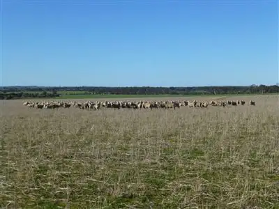 Seventh view of Homely rural property listing, . Windee, Corrigin WA 6375