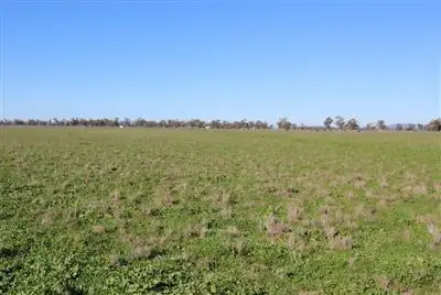 Third view of Homely rural property listing, Lalagooli/1399 Normans Rd, Gunnedah NSW 2380