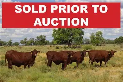 28525 Kamilaroi Highway, Burren Junction NSW 2386