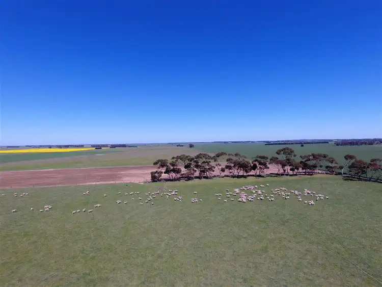 Second view of Homely rural property listing, 2 Lots Urches Road & Lismore-Pitfield Road, Wallinduc VIC 3351