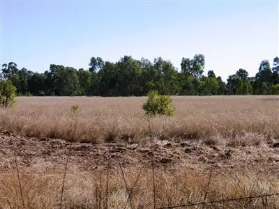 Sixth view of Homely land listing, Lot 300 South Western Hwy, Coolup WA 6214