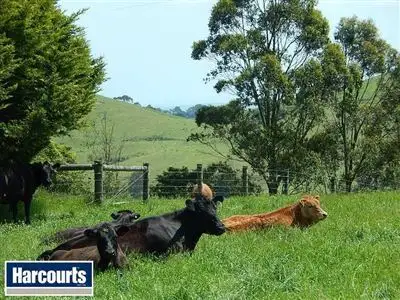 Fifth view of Homely rural property listing, 25 McIntosh Road, Strzelecki VIC 3950