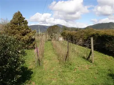 Fourth view of Homely rural property listing, 169 South Springfield Road, Springfield TAS 7260