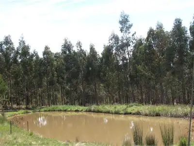 Fourth view of Homely rural property listing, 675 Middle Creek Road, Yarck VIC 3719