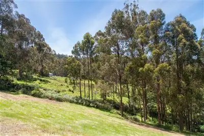 Sixth view of Homely land listing, - Maxfields Road, Franklin TAS 7113