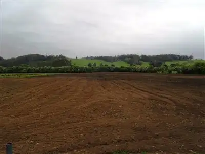 Third view of Homely rural property listing, 953 Caveside Road, Caveside TAS 7304
