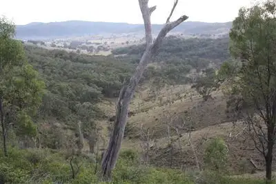 Sixth view of Homely rural property listing, L242/2005 Queens Pinch Road, Meroo, Mudgee NSW 2850