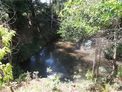 Fourth view of Homely rural property listing, 1 Fig Tree Lane, North Arm QLD 4561