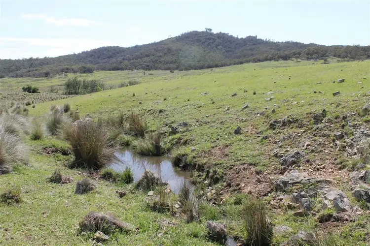 Sixth view of Homely rural property listing, 728 Kain Cross Road, Hereford Hall via, Braidwood NSW 2622