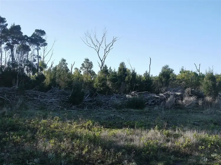 Second view of Homely rural property listing, 160 Youngs Road, Yambacoona TAS 7256