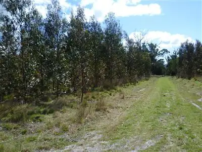 Fifth view of Homely rural property listing, 103ha Ansons Bay Road, St Helens TAS 7216