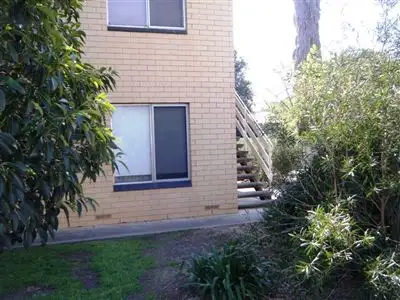Fourth view of Homely unit listing, 1/5 Comaum Street, St Marys SA 5042