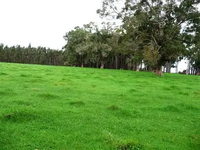 Second view of Homely land listing, Lot 2066 Kimber Road, Manjimup WA 6258