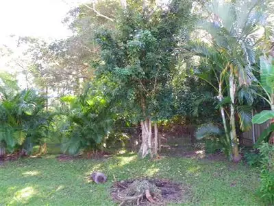 Third view of Homely house listing, 1257 Bribie Island Rd, Ningi QLD 4511