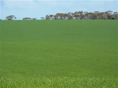 Second view of Homely rural property listing, Lot 5 North Coast road, Point Turton SA 5575