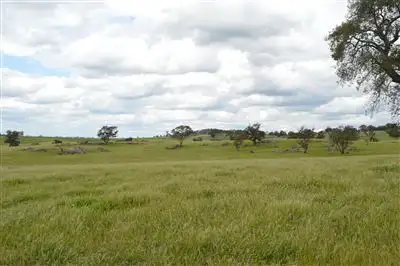 Main view of Homely rural property listing, Twosey 96 Whitakers Lane, Marrar via, Wagga Wagga NSW 2650