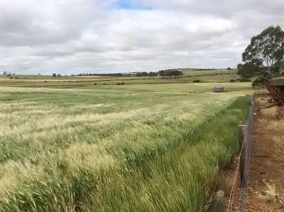 Fifth view of Homely rural property listing, Sec 597 Horrocks Hwy, Rhynie SA 5412