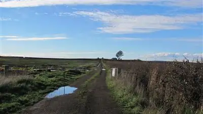 Sixth view of Homely rural property listing, 340 Green Rises Road, Cressy TAS 7302